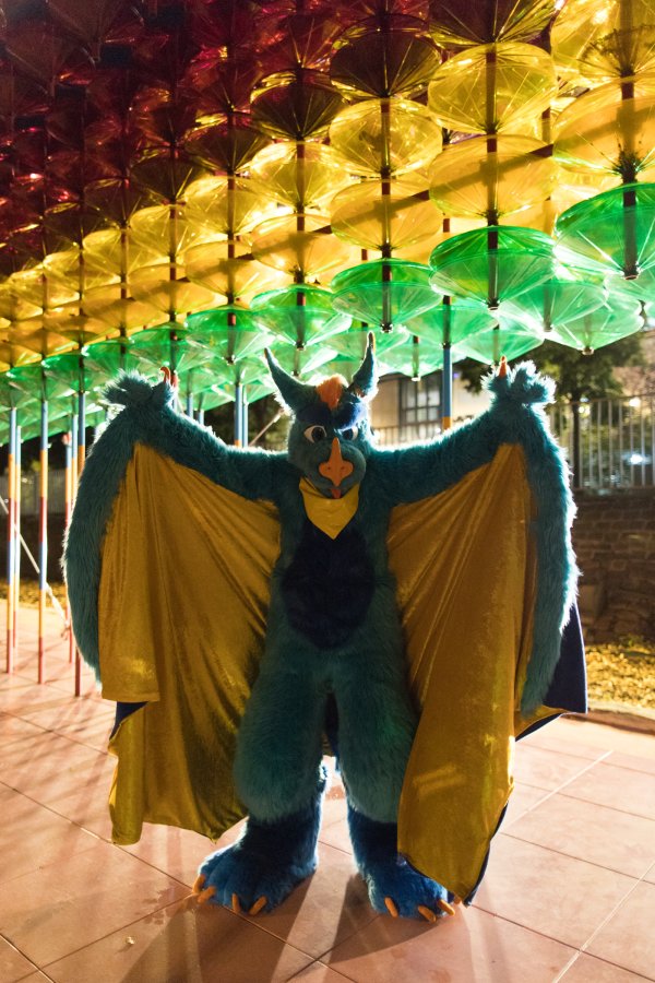 Eurofurence 26, Mini photoshoots