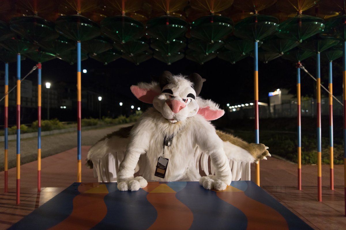 Eurofurence 26, Mini photoshoots