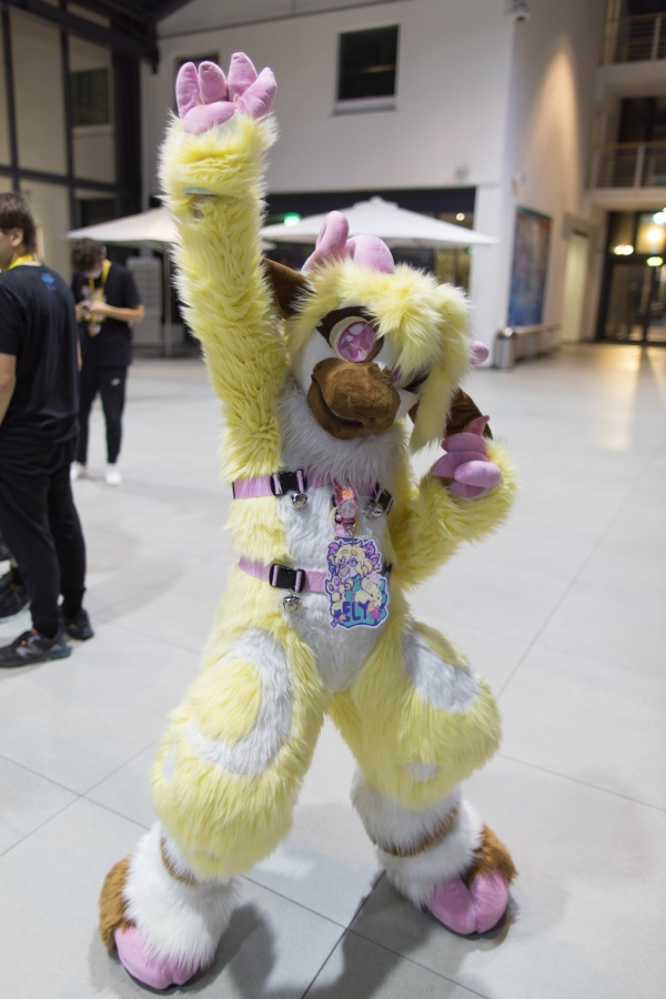 Eurofurence 26, Fursuits