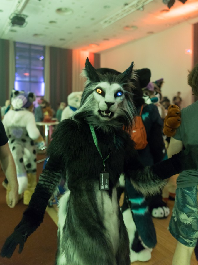 Eurofurence 26, Dances
