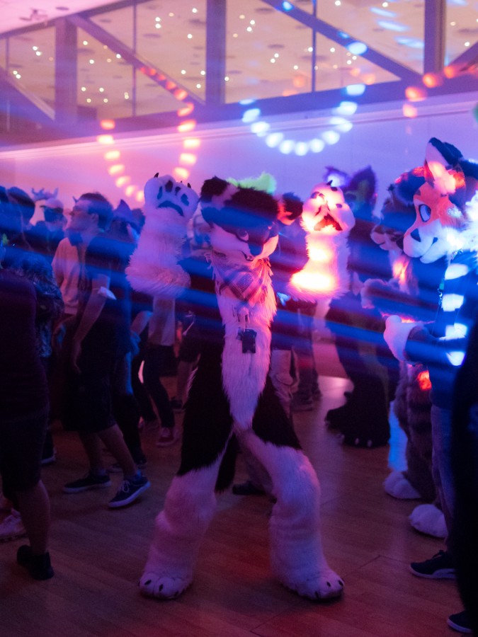 Eurofurence 26, Dances