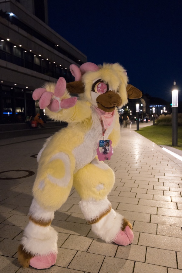 Eurofurence 27, Fursuits