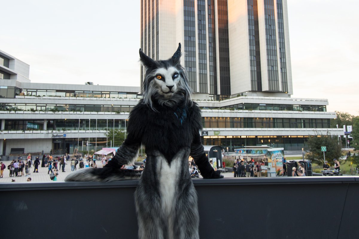 Eurofurence 27, Mini photoshoots