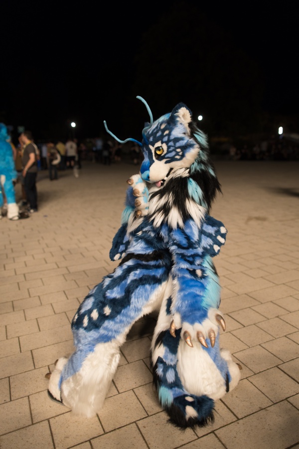 Eurofurence 27, Fursuits