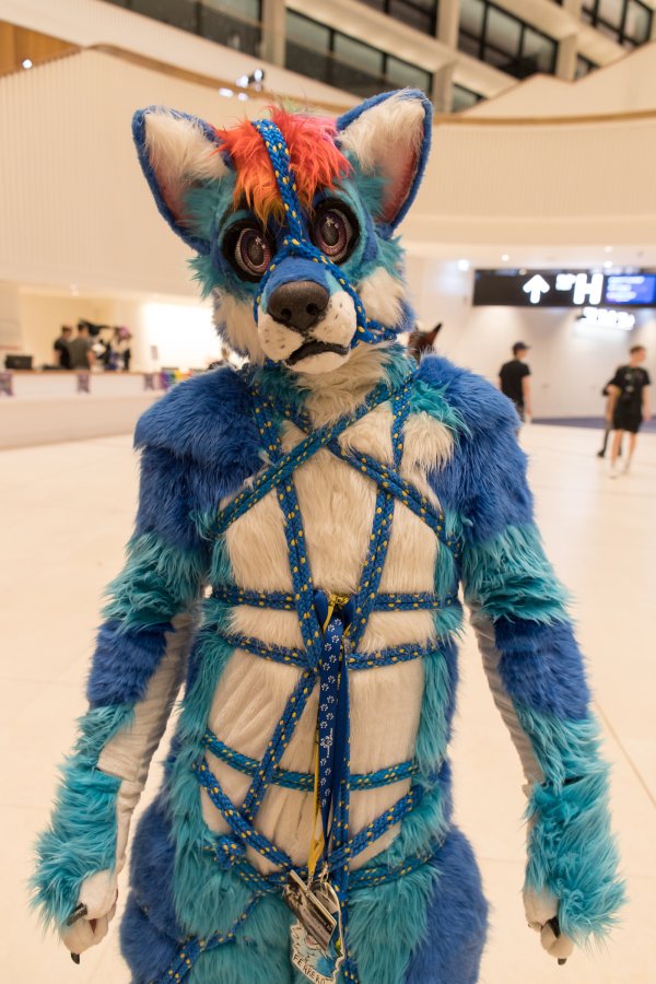 Eurofurence 27, Fursuits