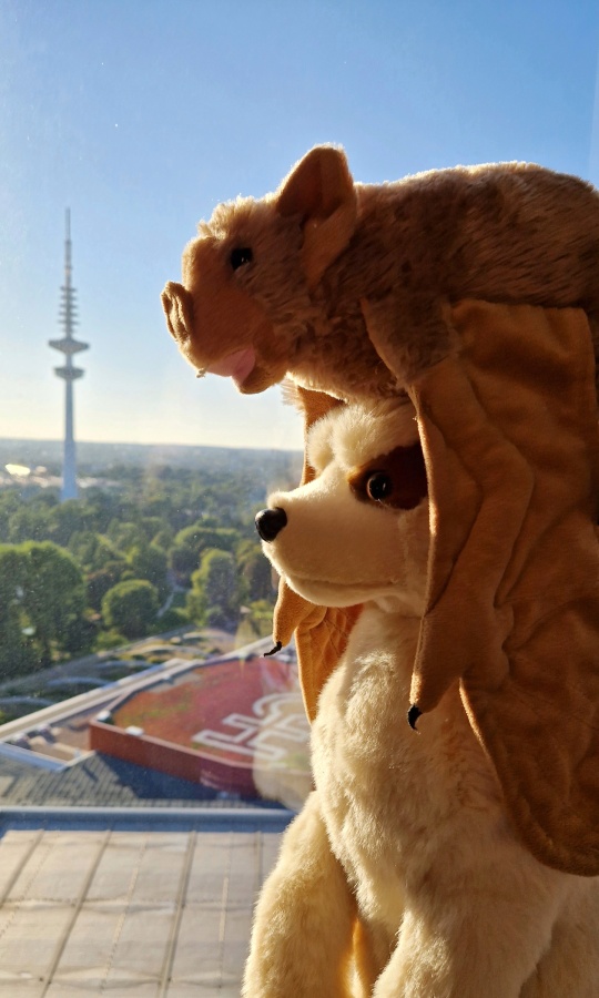 Eurofurence 27, Other photos