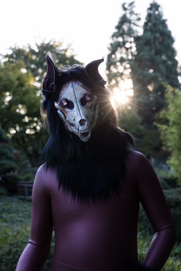 Eurofurence 27, Mini photoshoots