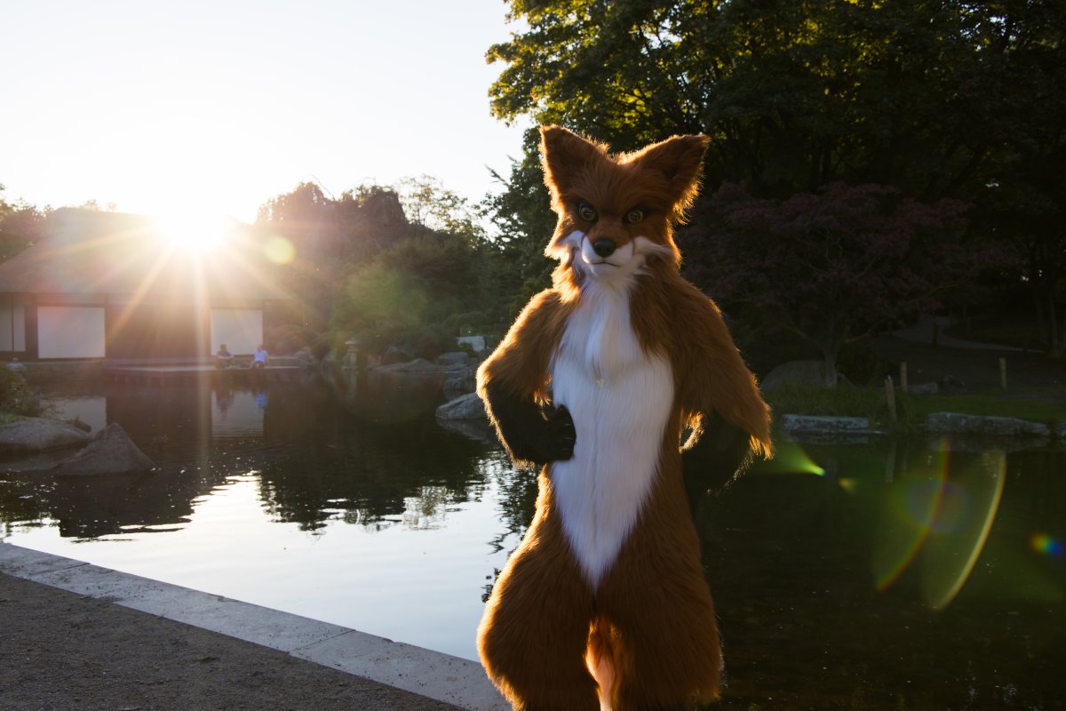 Eurofurence 27, Mini photoshoots