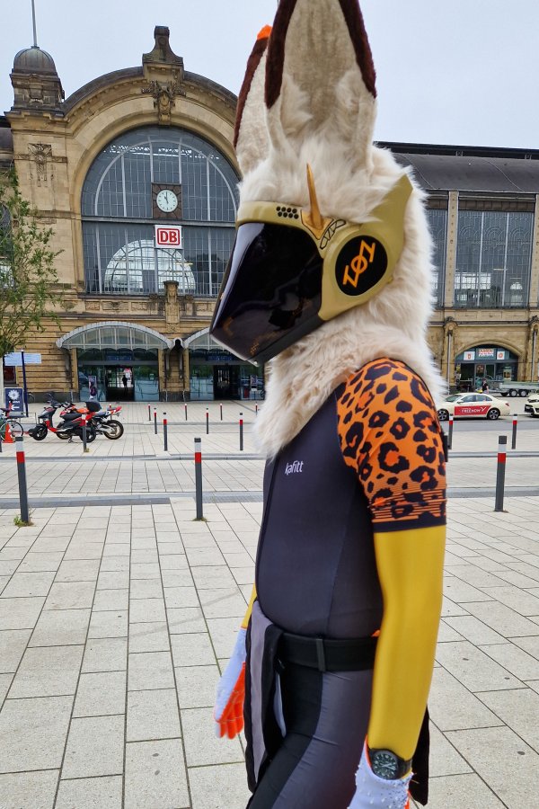 Eurofurence 28, Fursuits