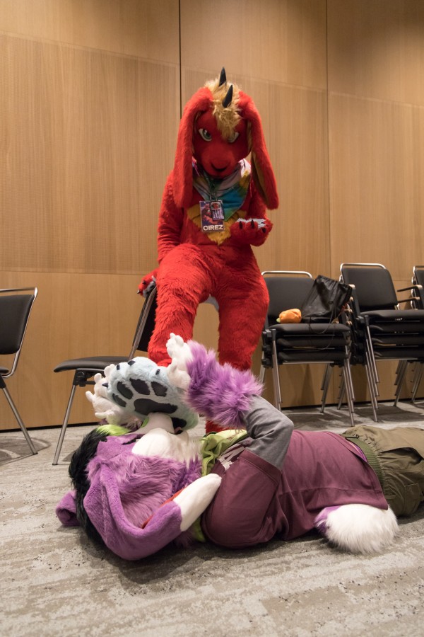 Eurofurence 28, Meets and Groups