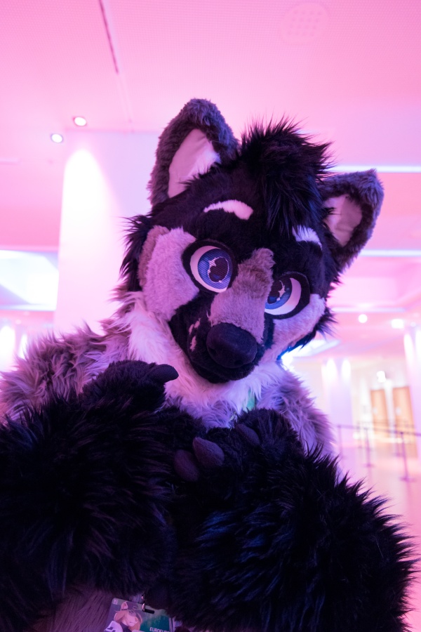 Eurofurence 28, Fursuits