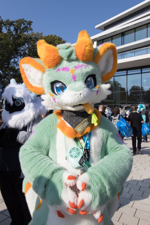 Eurofurence 28, Fursuits