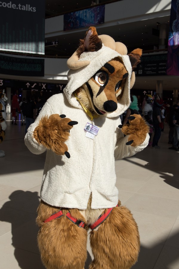 Eurofurence 28, Fursuits