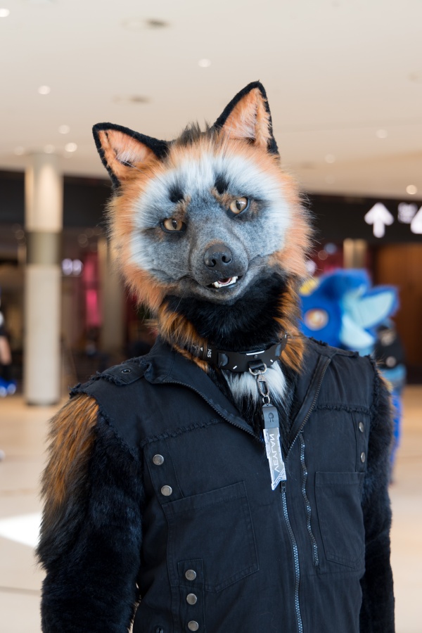 Eurofurence 28, Fursuits