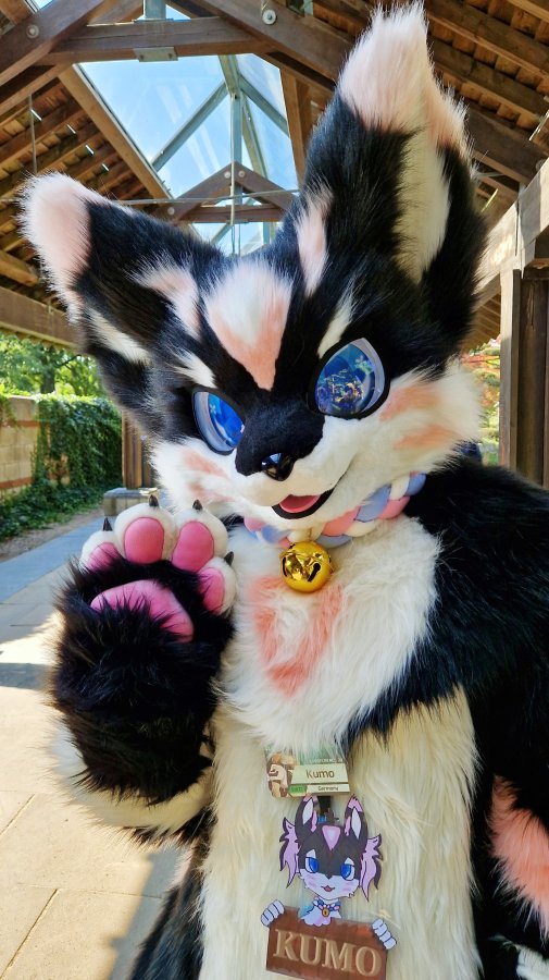 Eurofurence 28, Fursuits