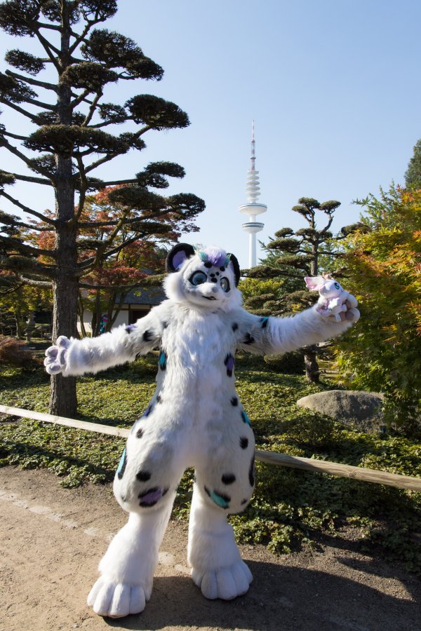 Eurofurence 28, Meets and Groups