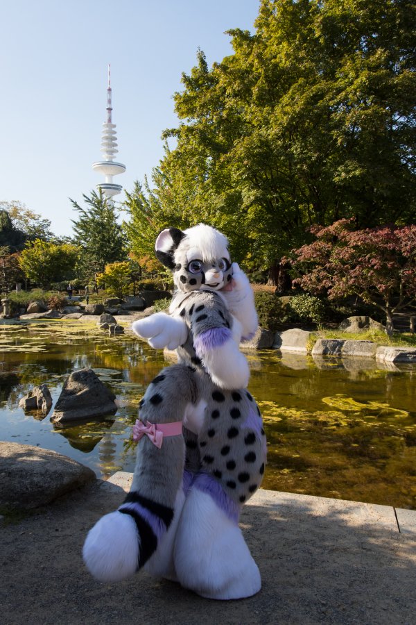Eurofurence 28, Meets and Groups