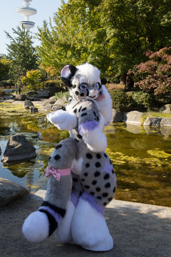 Eurofurence 28, Meets and Groups