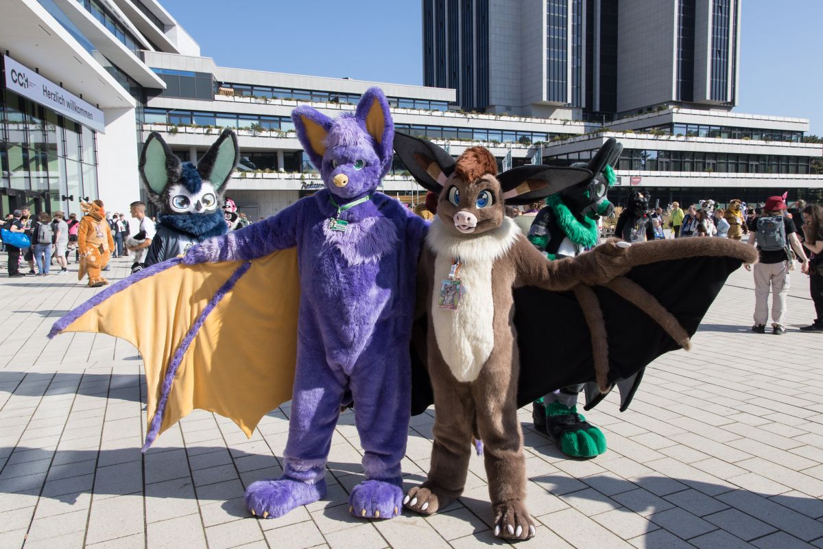 Eurofurence 28, Meets and Groups