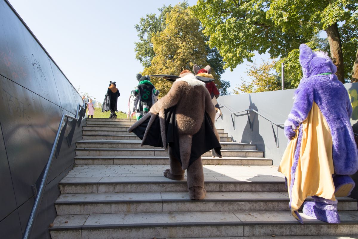 Eurofurence 28, Meets and Groups