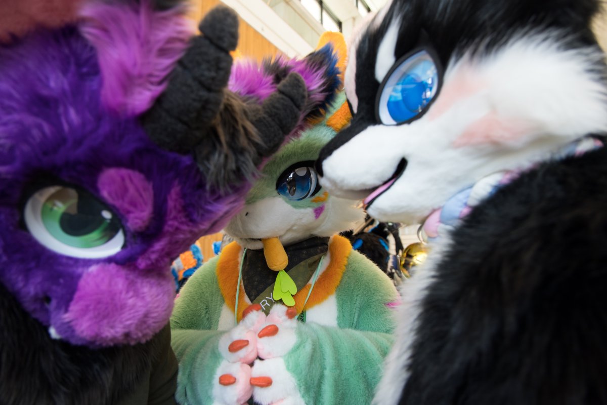 Eurofurence 28, Meets and Groups