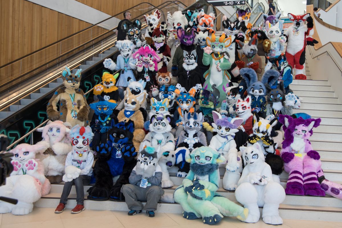 Eurofurence 28, Meets and Groups
