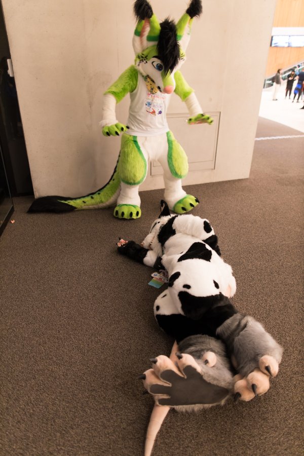 Eurofurence 28, Fursuits