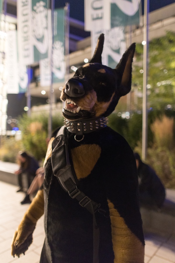 Eurofurence 29