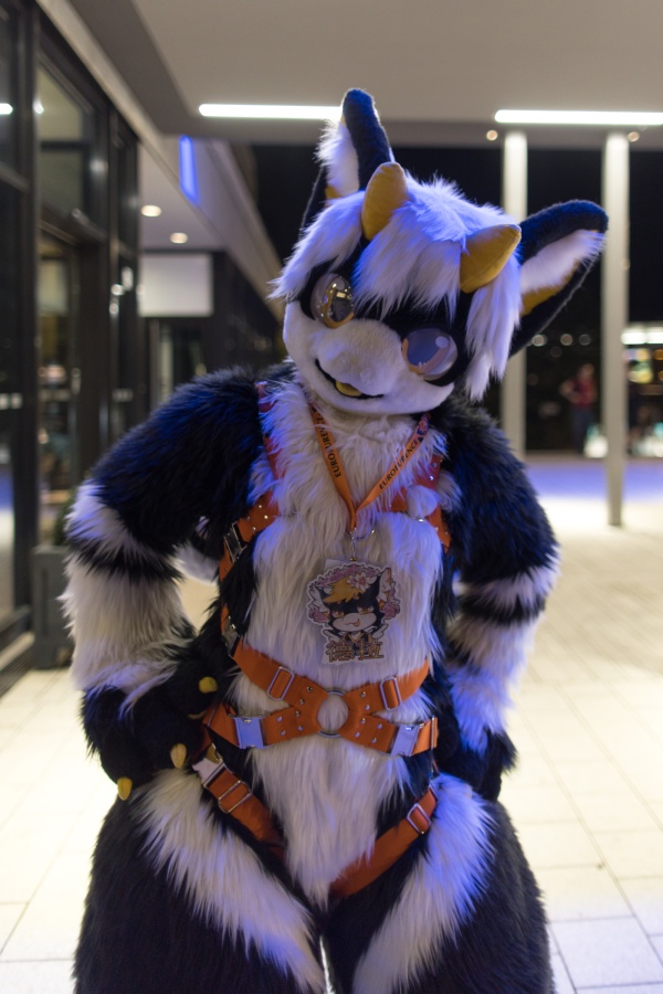 Eurofurence 29, Fursuits outdoors