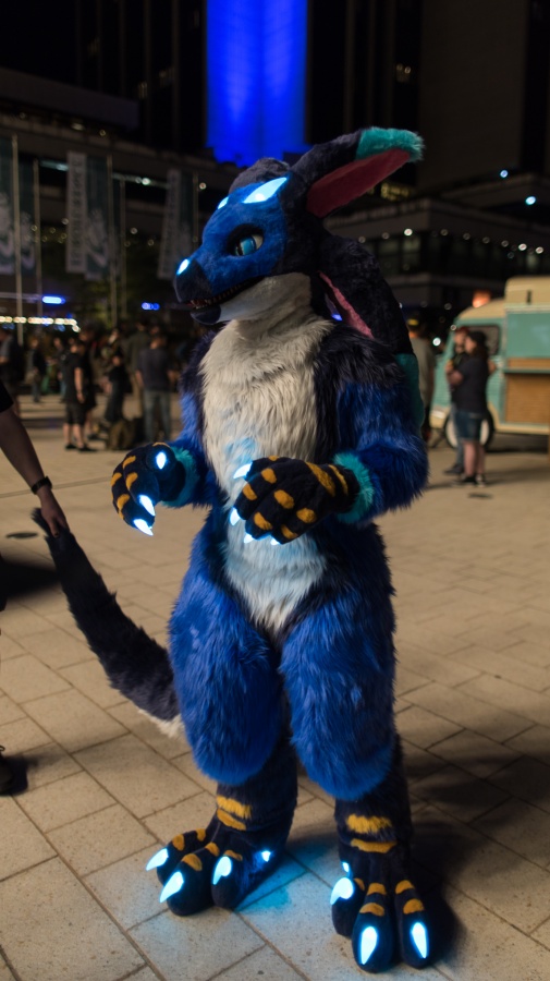 Eurofurence 29, Fursuits outdoors