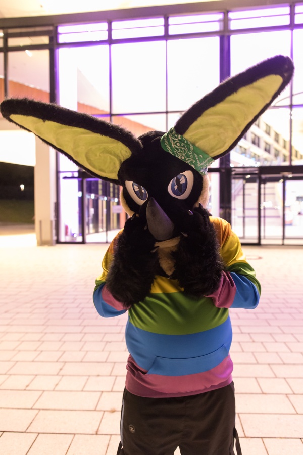 Eurofurence 29