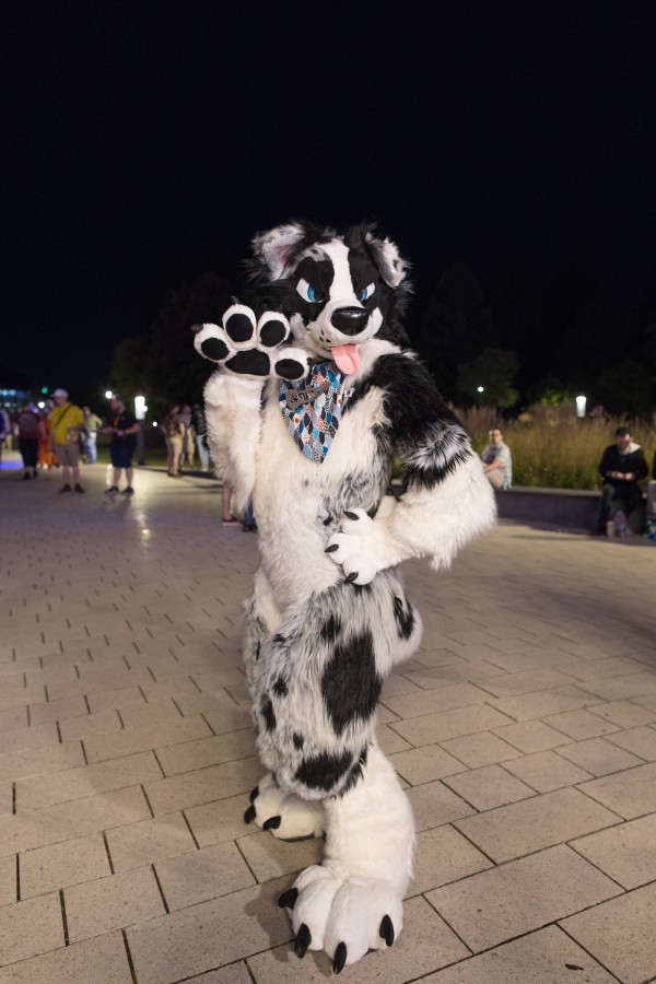 Eurofurence 29