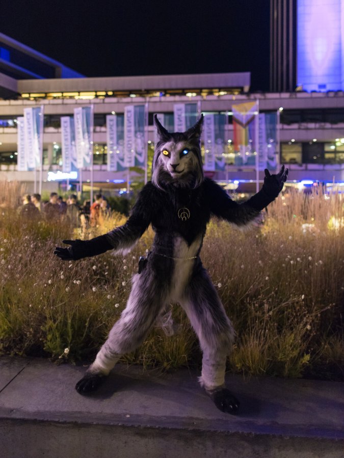 Eurofurence 29