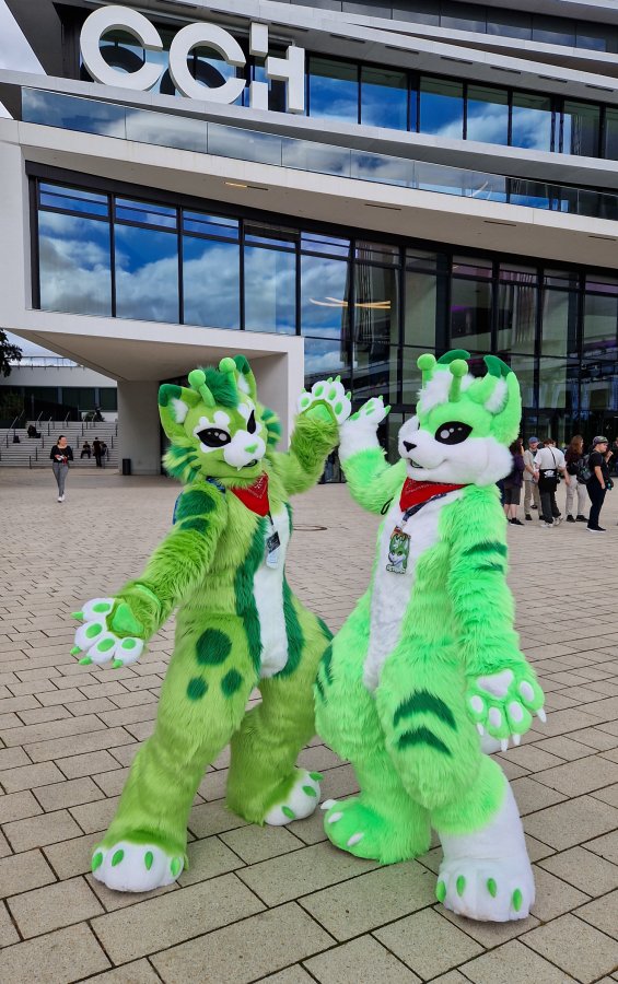 Eurofurence 29, Fursuits outdoors