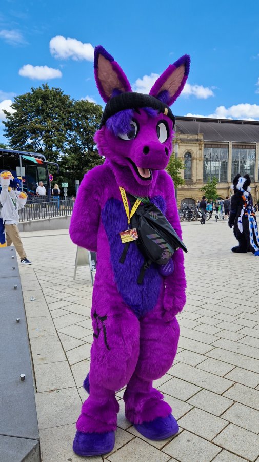Eurofurence 29