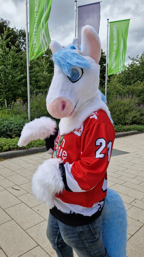 Eurofurence 29
