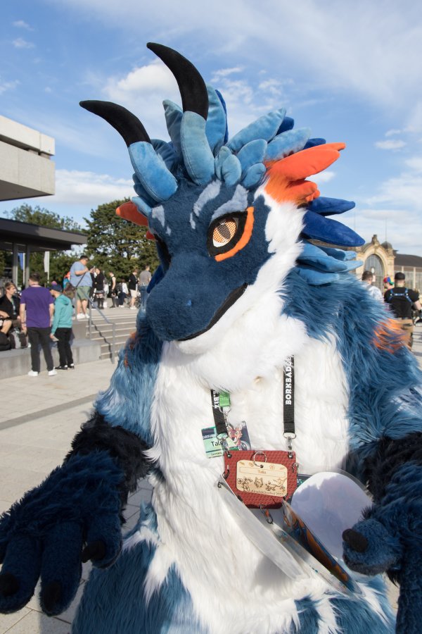 Eurofurence 29