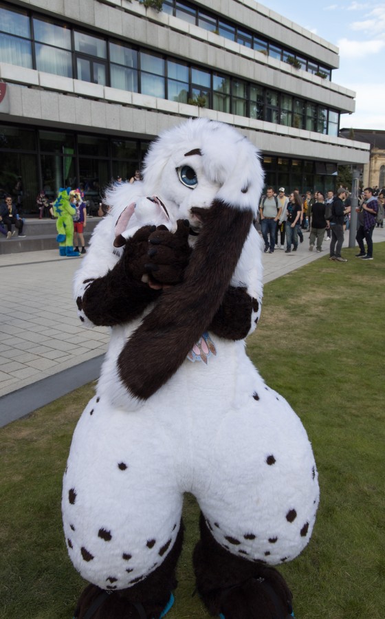 Eurofurence 29