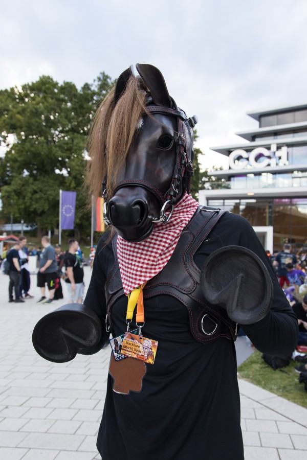 Eurofurence 29
