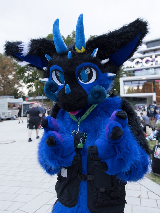 Eurofurence 29
