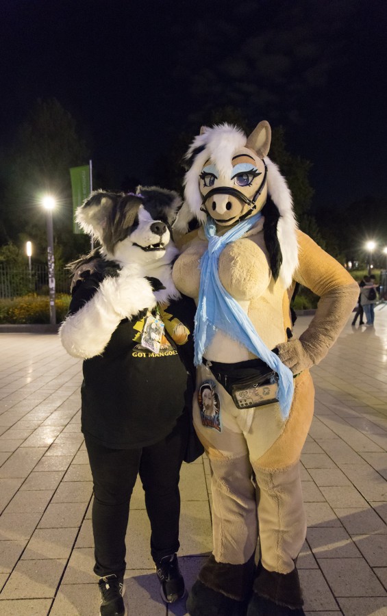 Eurofurence 29
