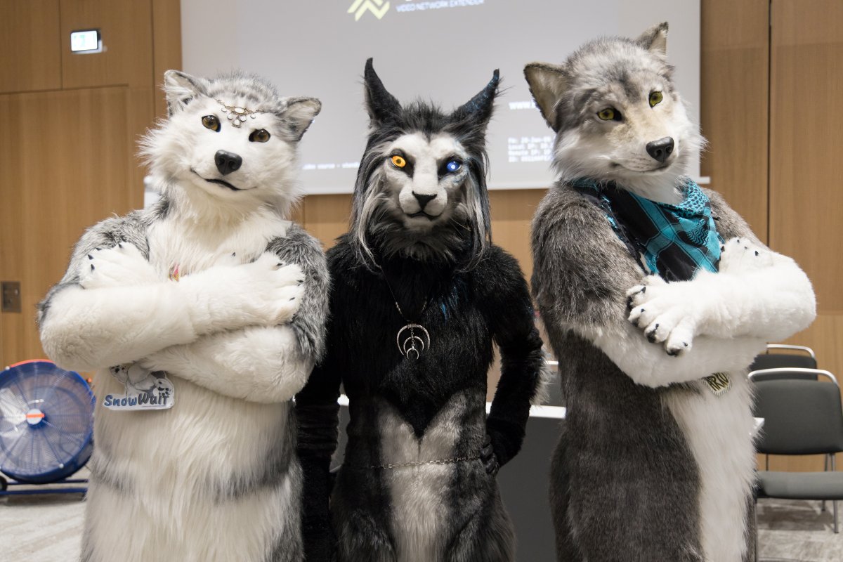 Eurofurence 29