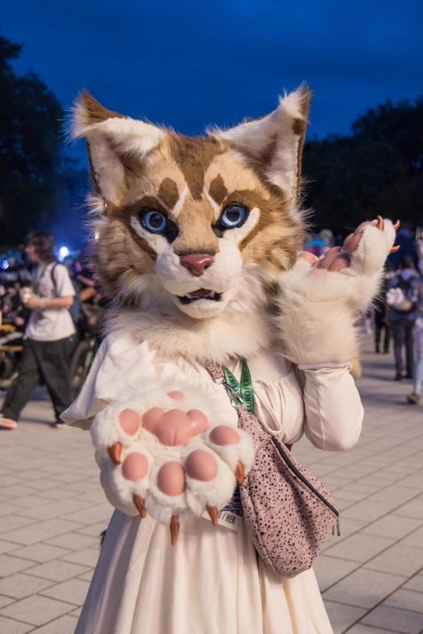 Eurofurence 29