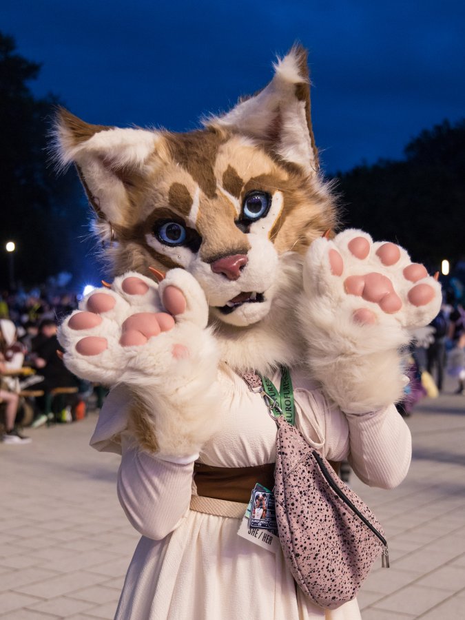 Eurofurence 29