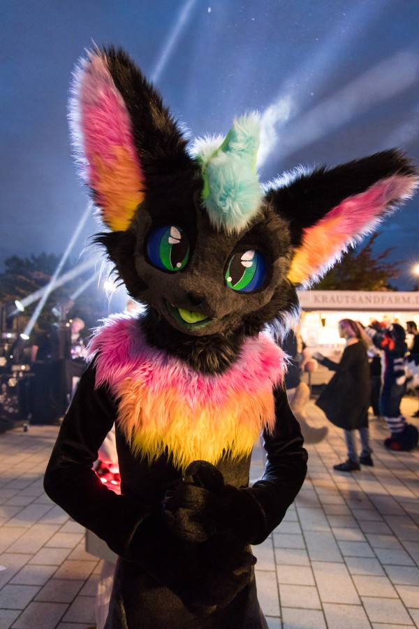 Eurofurence 29