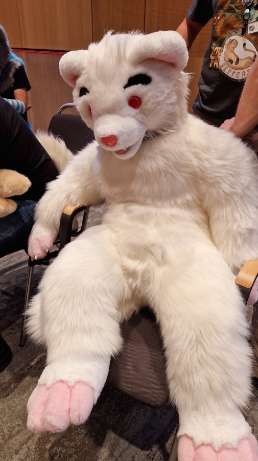 Eurofurence 29