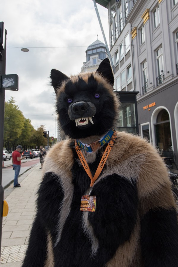 Eurofurence 29