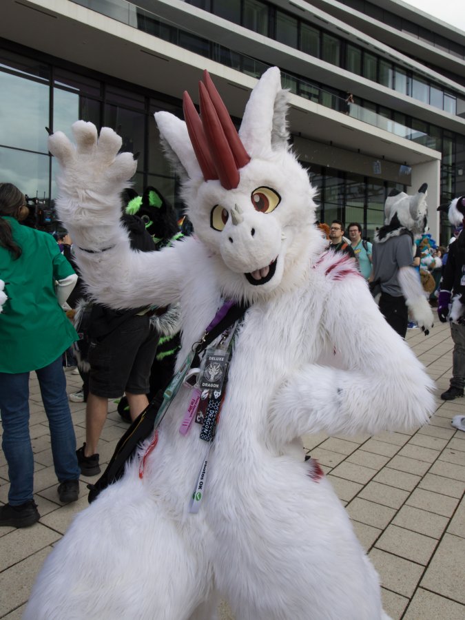 Eurofurence 29