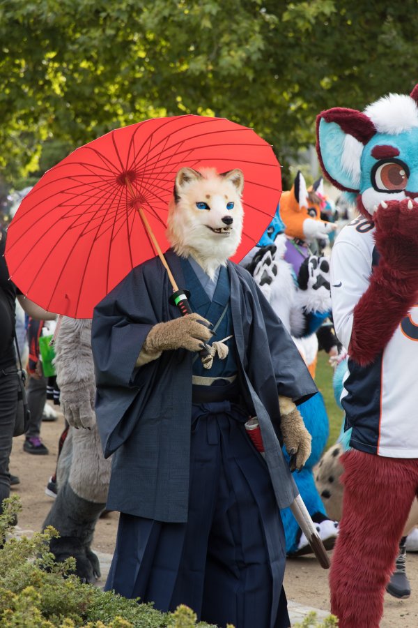 Eurofurence 29