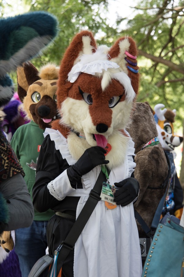 Eurofurence 29, Fursuit Parade